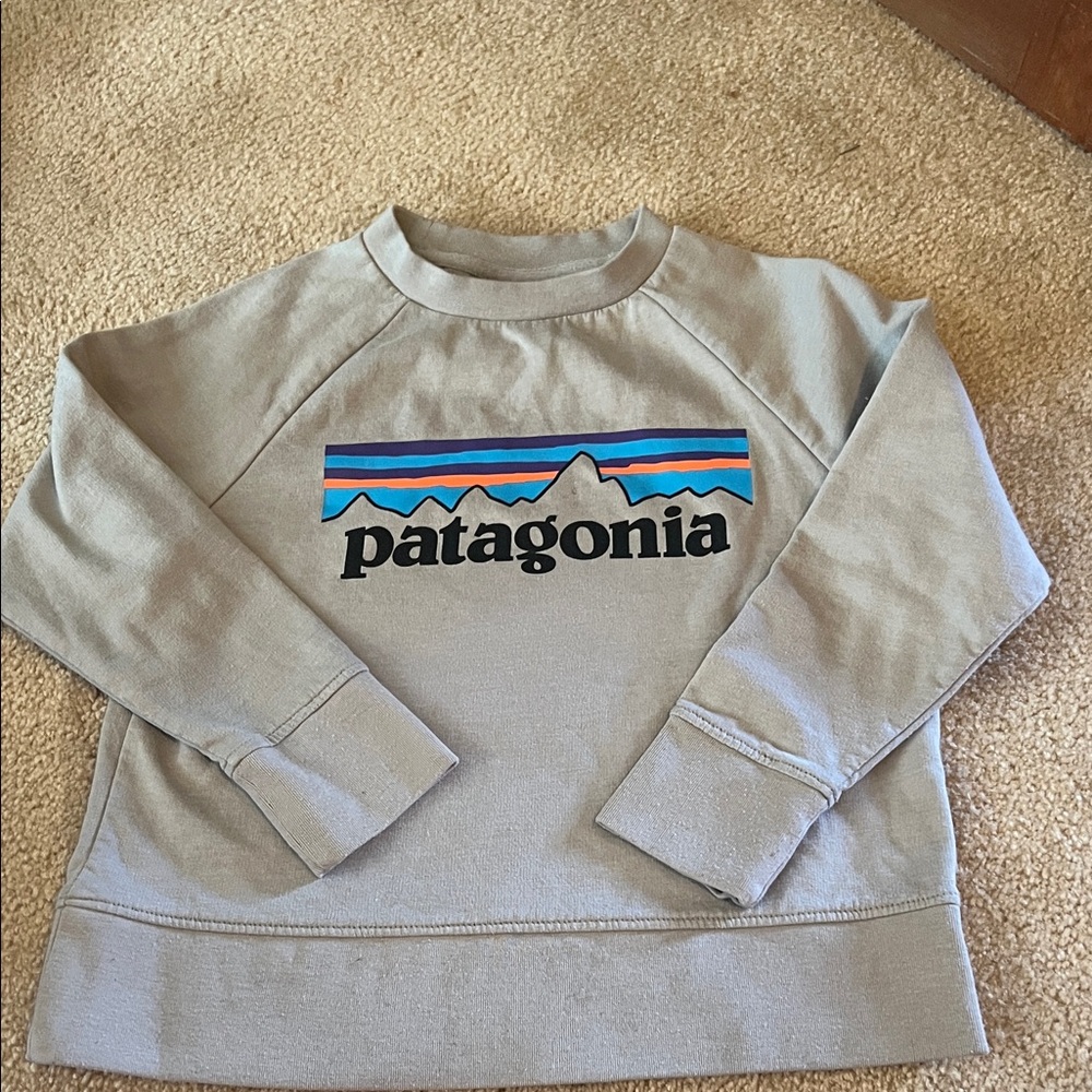Patagonia Light Gray Crewneck Sweatshirt with Multicolor Logo